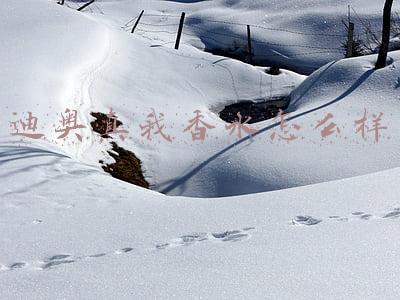 迪奥真我香水怎么样