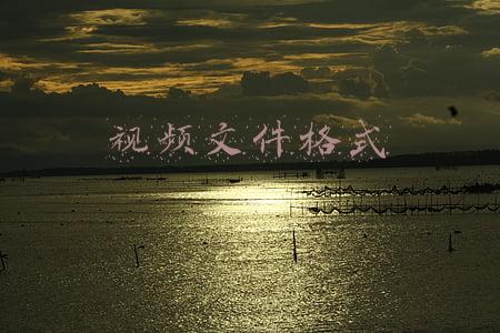 视频文件格式