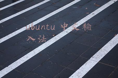 ubuntu中文输入法安装(超详细的ubuntu14.04安装搜狗输入法教程)
