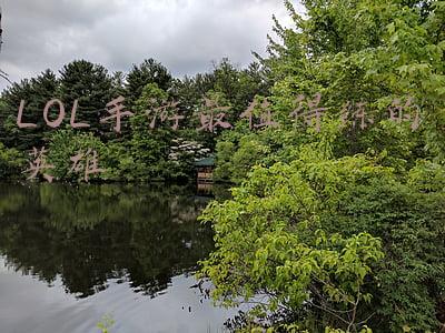 LOL手游最值得练的英雄
