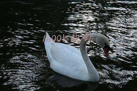 1600k驱动