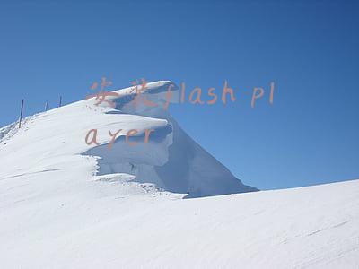安装flash player