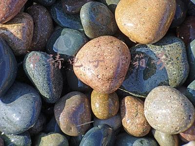 申请电子邮箱号