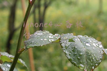 iphone4必备软件