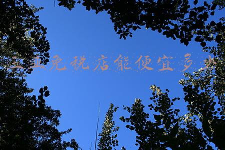 三亚免税店能便宜多少?_三亚免税店能便宜多少钱