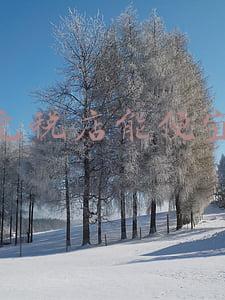 三亚免税店能便宜多少