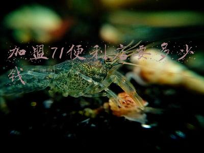 711便利店加盟费用大概多少钱?：711便利店加盟费要多少钱
