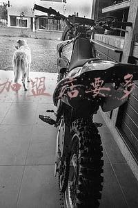 安踏加盟店电话-安踏加盟电话官网