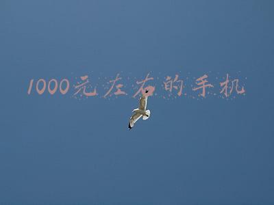 1000元左右的手机推荐(从需求入手 双十一必抢的三部高性价比千元手机)