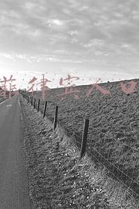 菲律宾人口