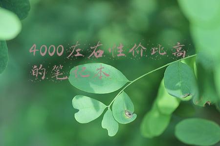4000左右性价比高的笔记本