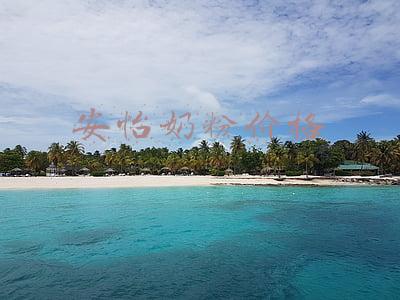 安怡原装进口奶粉价格图片(恒天然10款全新产品亮相第四届进博会)