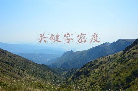 关键词密度(网站关键词的密度如何分配？)