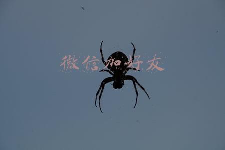 微信加好友