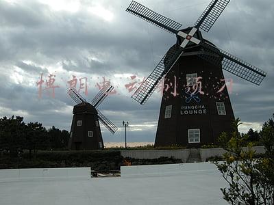博朗电动剃须刀