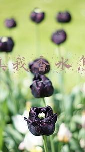 迪奥真我香水价格为什么不一样(直播国际大牌化妆品1元起？老板揭露的幕后真相能吓掉你下巴)