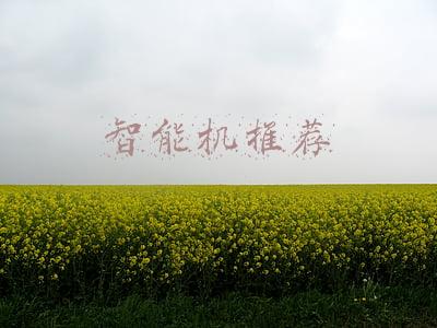智能机推荐