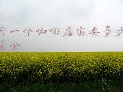 开一家咖啡店成本-开家咖啡店总共要多少钱