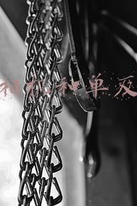 数码相机和单反相机(2021年了，竟然还有人觉得微单相机干不过单反？)