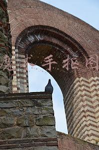 光影魔术手怎么抠图去背景(PS太难学，电脑配置太低又带不动，光影魔术手让你巧变P图达人)