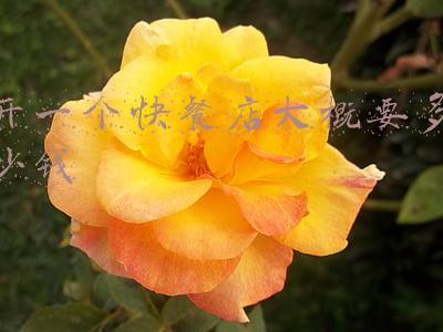快餐盒多少钱一个(一次性快餐盒多少钱一个)