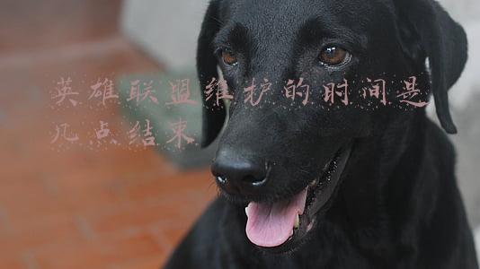 英雄联盟维护的时间是几点结束