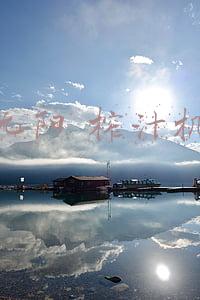 九阳 榨汁机
