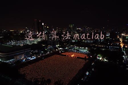 遗传算法matlab程序案例详解(基于Matlab的协同进化遗传算法求解旅行商问题)