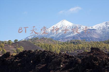 BT天堂种子搜索