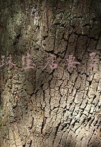 开珠宝店赚钱吗(开珠宝店其实不赚钱的)