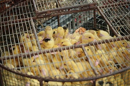 红米配置高电池不耐用信号干扰(红米手机性价比高，但别瞎买，这三款对应三种人)