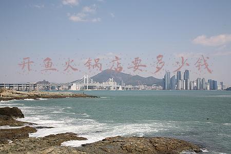 石斑鱼火锅店加盟(石斑鱼火锅 加盟)