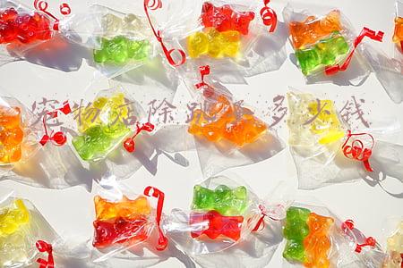 加盟宠物店要多少钱 宠物家加盟费多少钱啊