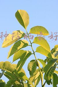 哪种防晒霜好用又便宜(今年春夏必囤的防晒霜来了！好用不贵，给你们选了8款)