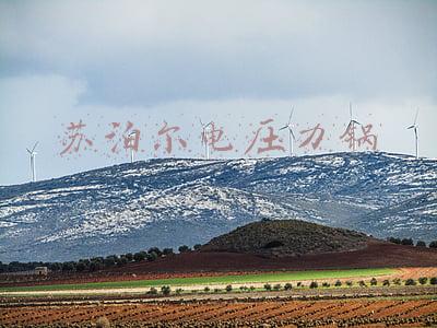 苏泊尔电压力锅