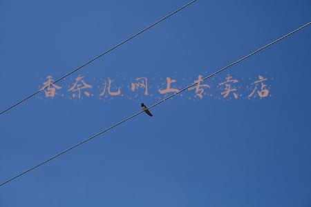 香奈儿官方店(白百何与CHANEL缘分再升级～“天使”空降上海，顺便带来亚洲首家旗舰店！)