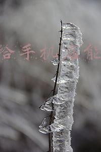汽车中的5S店是什么涵义?(5s店是什么)