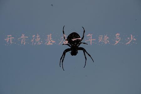 开肯德基赚钱吗《开一家肯德基加盟店能赚钱吗?》