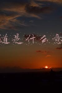 匝道是什么意思