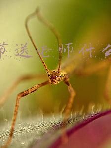 教师节送老师什么礼物最好中学生(教师节送给老师什么礼物最好？2020年教师节送老师礼物排行榜前五)