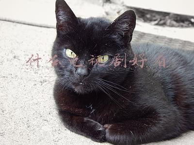什么电视剧好看