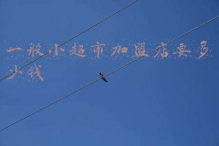 便利店加盟最少加盟费的是哪家？_加盟超市一般多少钱去哪家好