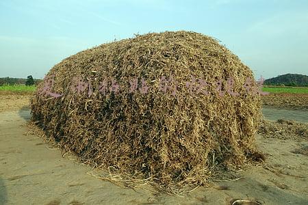 复制粘贴的快捷键是什么(复制粘贴，你只用Ctrl+C、Ctrl+V来实现？说明你已经Out了)