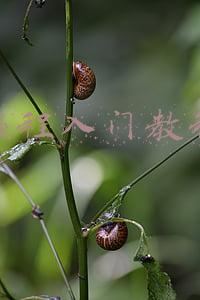编程入门教程免费视频(零基础自学编程，这些免费的编程入门教程可以帮助你！)