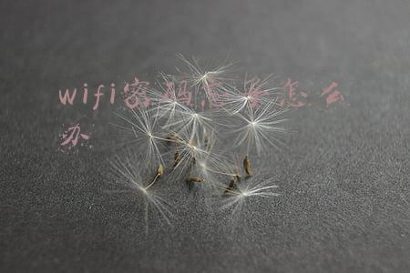 wifi密码忘了怎么办