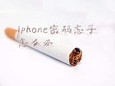 iphone密码忘了怎么办