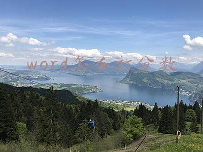 word怎么打分数