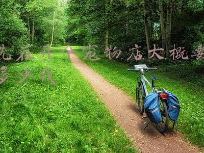 开一家宠物店一年可以赚多少;开个小型狗店一个月能赚多少钱
