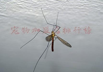 宠物加盟店排行榜