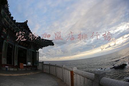 宠物加盟店排行榜